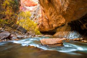 Zions Canyon and Narrows in Fall Color Photo Workshop Tour Zions Canyon and Narrows in Fall Color Photo Workshop Tour